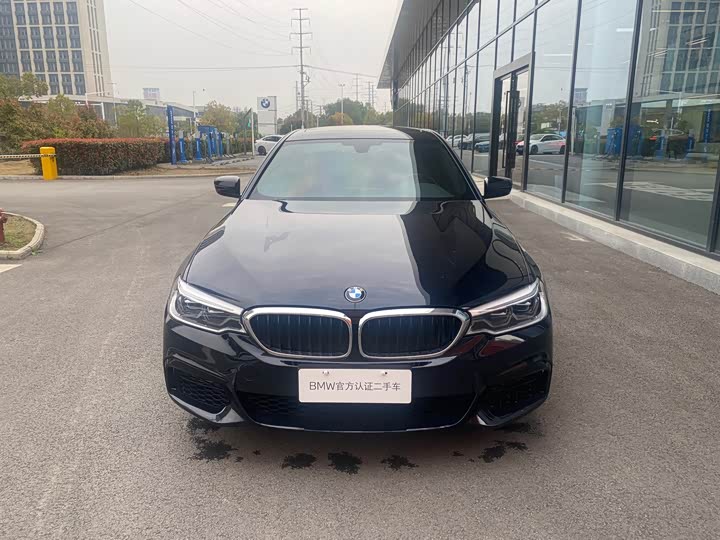 BMW 5-Series 2020 530 Li Leading M — фото 13