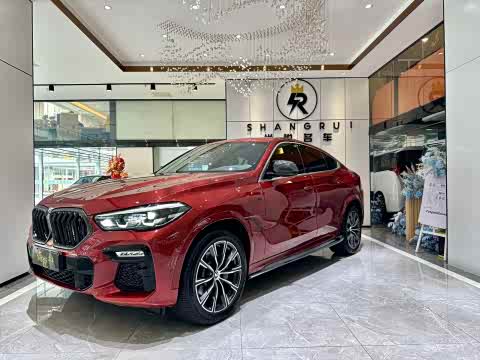 BMW X6 2020 x Drive 30i M — фото 21