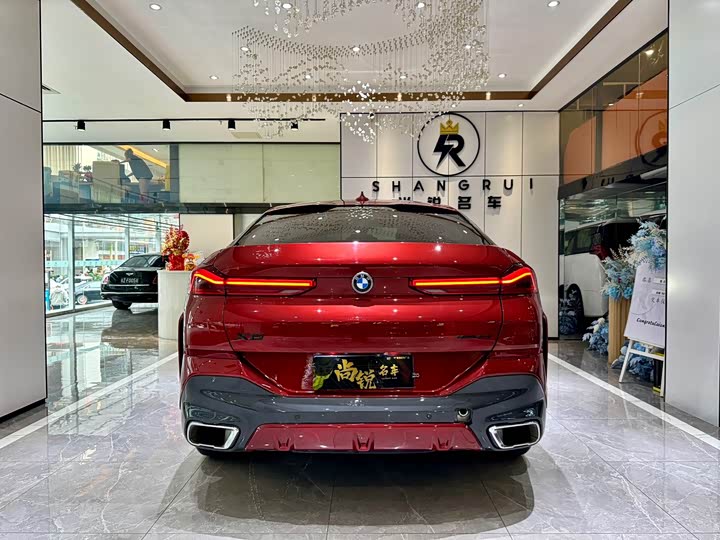BMW X6 2020 x Drive 30i M — фото 19