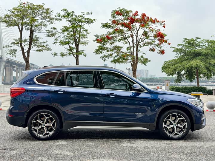 BMW X1 2018 x Drive 25 Le Luxury — фото 6