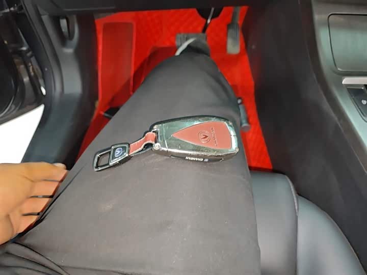 Changan CS55 PLUS 2021 1.5 T DCTLuxury — фото 9