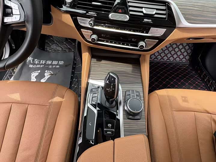 BMW 5-Series 2019 530 Li Leading — фото 34