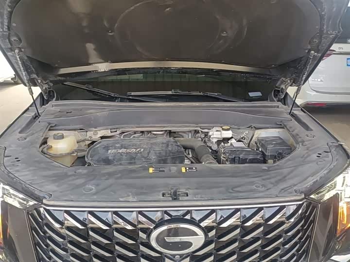 Trumpchi GS8 2024 2.0 TGDI 2 WD 7 — фото 20