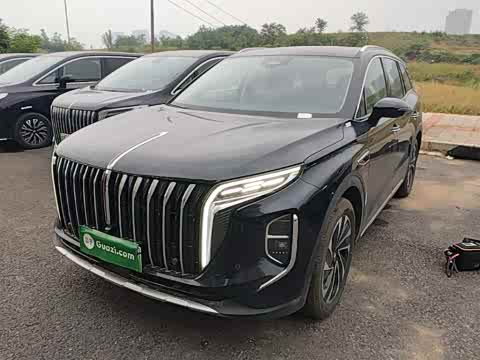 Hongqi HS7 PHEV 2024 2.0 T PHEV 4 WD 6 — фото 26