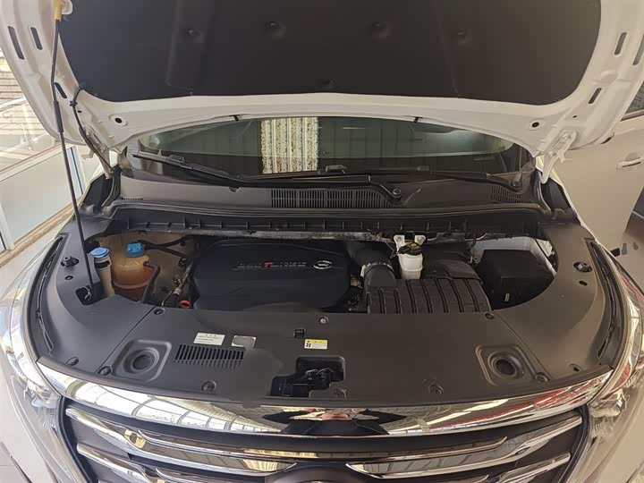 Trumpchi M8 2020 390 T — фото 16