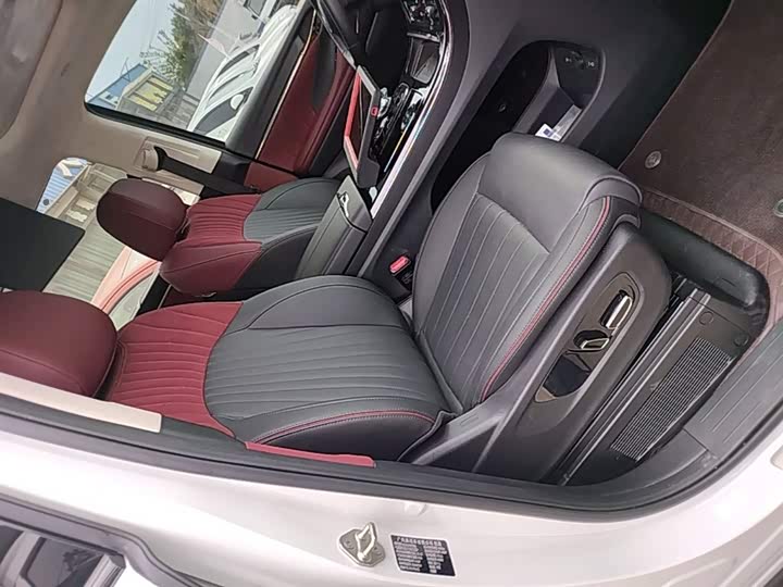 Trumpchi E9 2023 E 9 MAX — фото 25