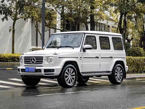 Mercedes-Benz G-Class 2019 G 500 — фото 19