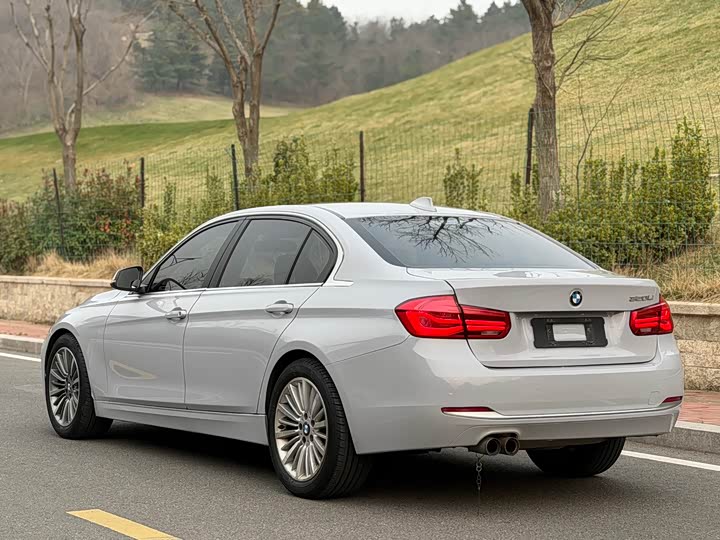 BMW 3-Series 2018 320 Li — фото 4