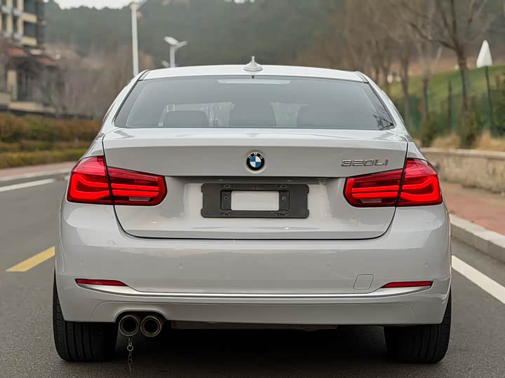BMW 3-Series 2018 320 Li — фото 5
