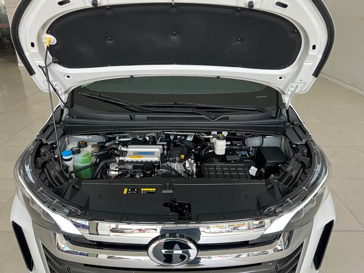 Trumpchi M6 2025 MAX 270 T WDCT — фото 19