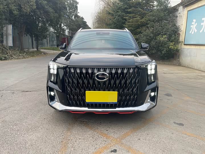 Trumpchi GS8 2022 2.0 TGDI 4 WD ( ) — фото 2