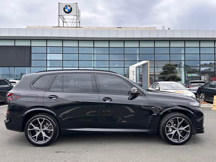 BMW X5 2025 x Drive 30 Li M — фото 11
