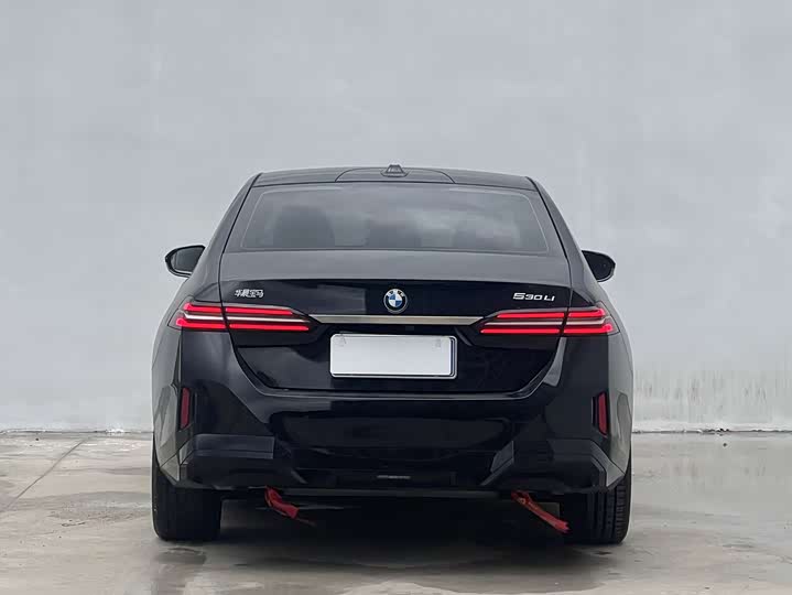 BMW 5-Series 2024 530 Li Leading M — фото 9