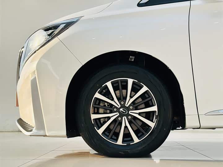 Trumpchi M8 2021 390 T — фото 9