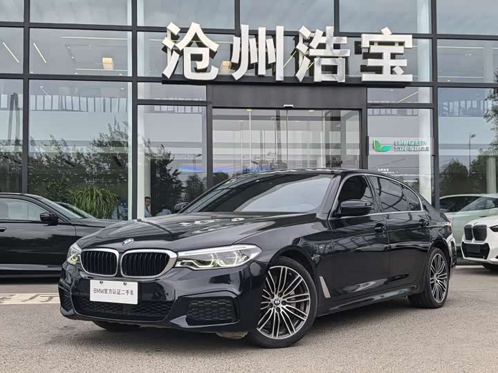BMW 5-Series 2020 530 Li Leading M — фото 1