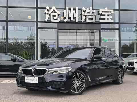 BMW 5-Series 2020 530 Li Leading M — фото 13