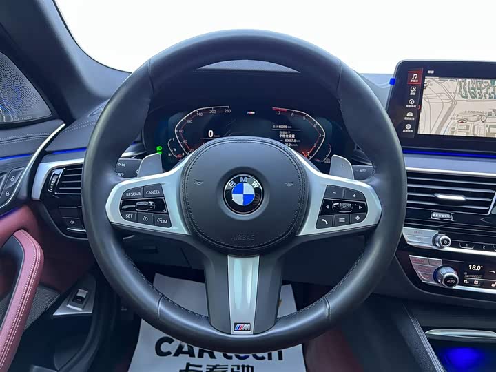 BMW 5-Series 2022 530 Li Leading M — фото 11