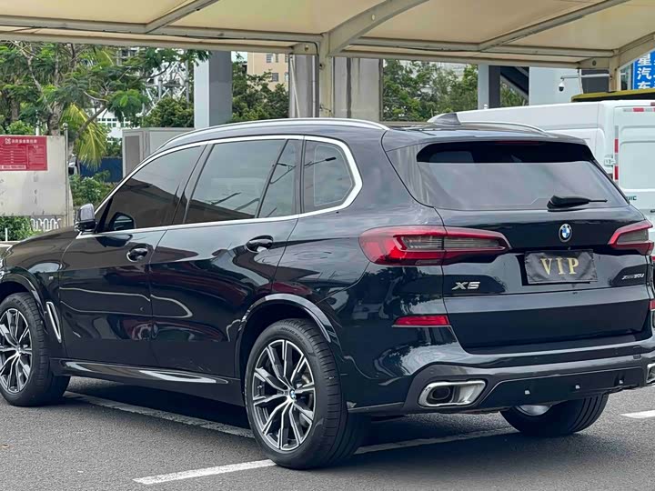 BMW X5 2022 x Drive 30 Li M — фото 8