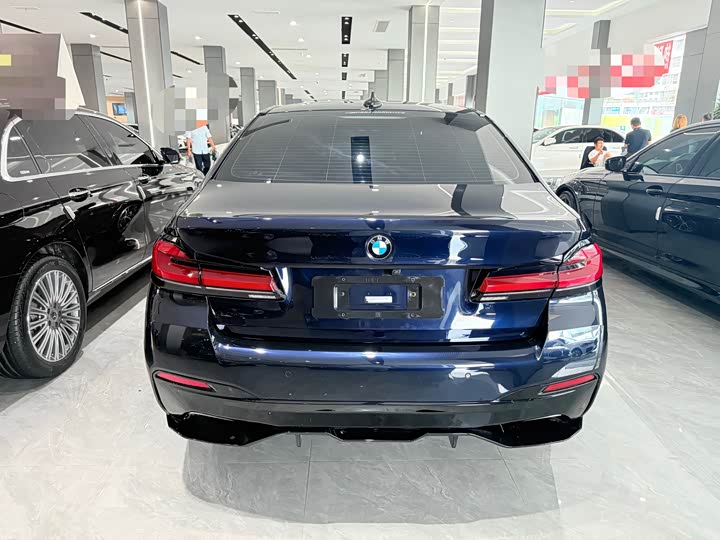 BMW 5-Series 2021 530 Li Leading M — фото 9