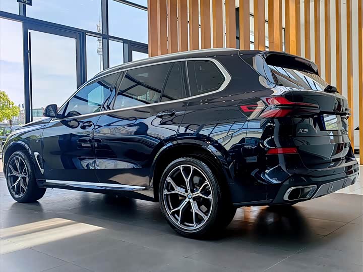 BMW X5 2023 x Drive 30 Li M — фото 7