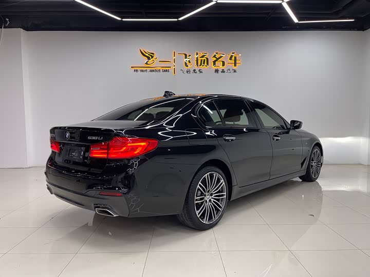 BMW 5-Series 2018 530 Li Leading M — фото 16