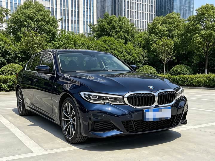 BMW 3 Series 320Li M спортпакет — фото 2