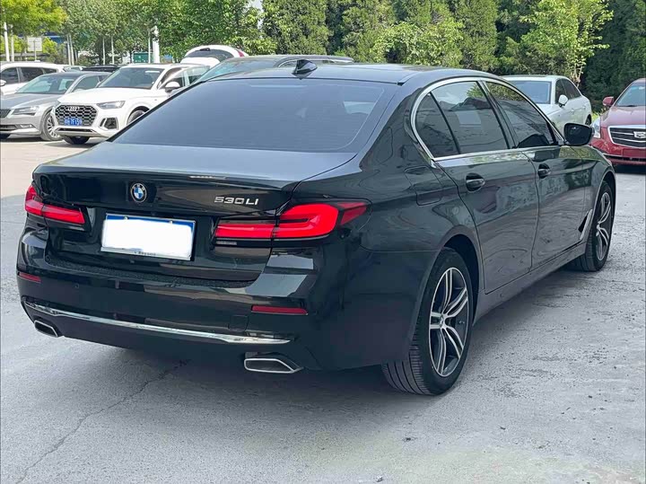 BMW 5-Series 2023 530 Li Leading — фото 3
