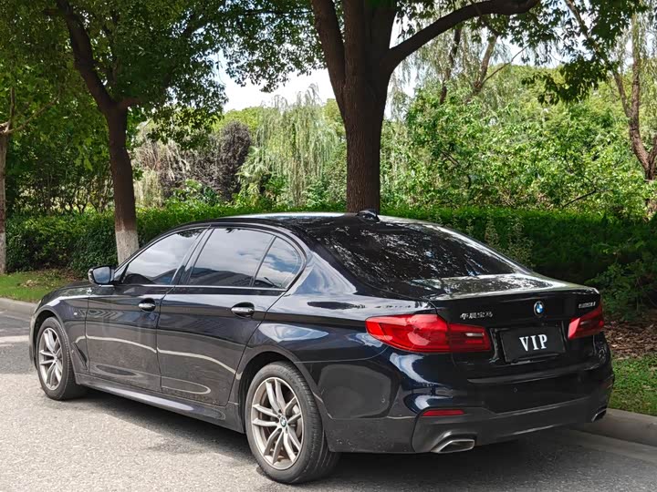 BMW 5 Series 525Li M спортпакет — фото 8