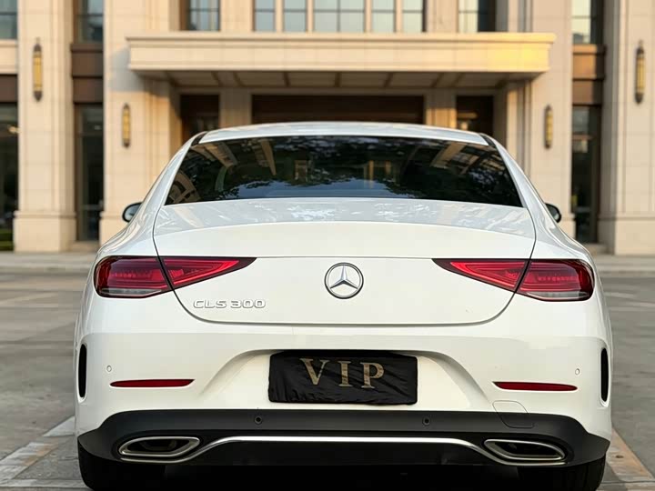 Mercedes-Benz CLS 2020 CLS 300 — фото 8