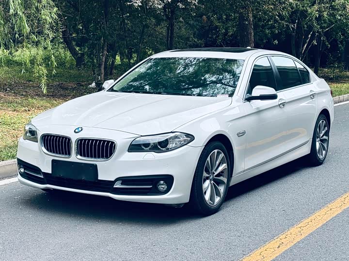 BMW 5-Series 2017 525 Li Leading — фото 1