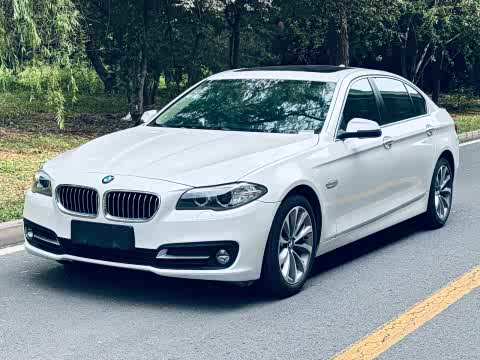 BMW 5-Series 2017 525 Li Leading — фото 18