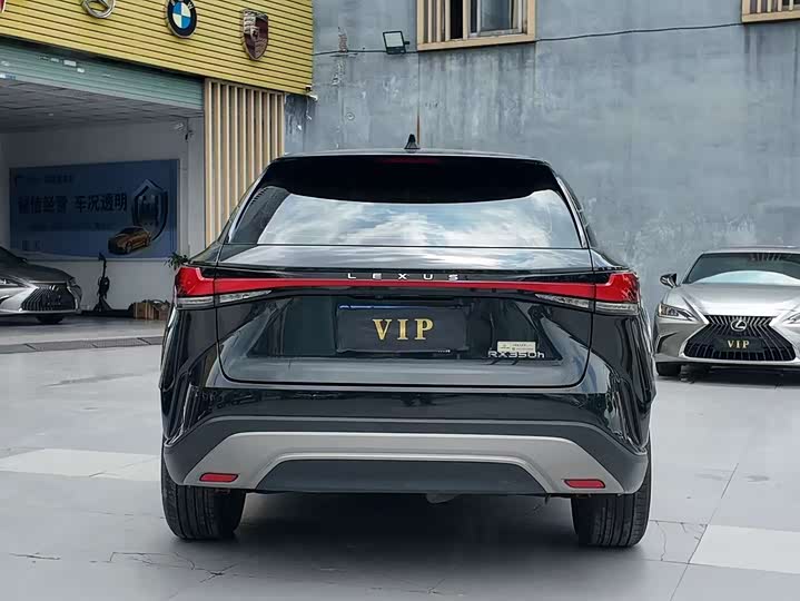 Lexus RX 2023 350h 2 WD — фото 10