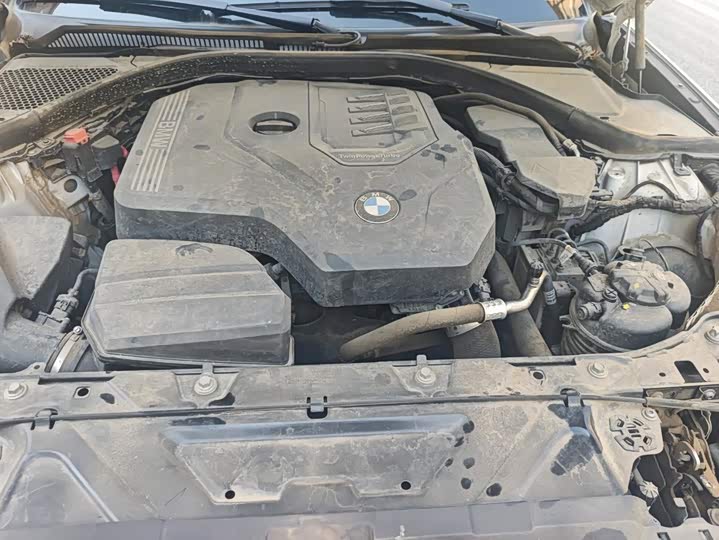 BMW 3 Series 320Li M спортпакет — фото 10