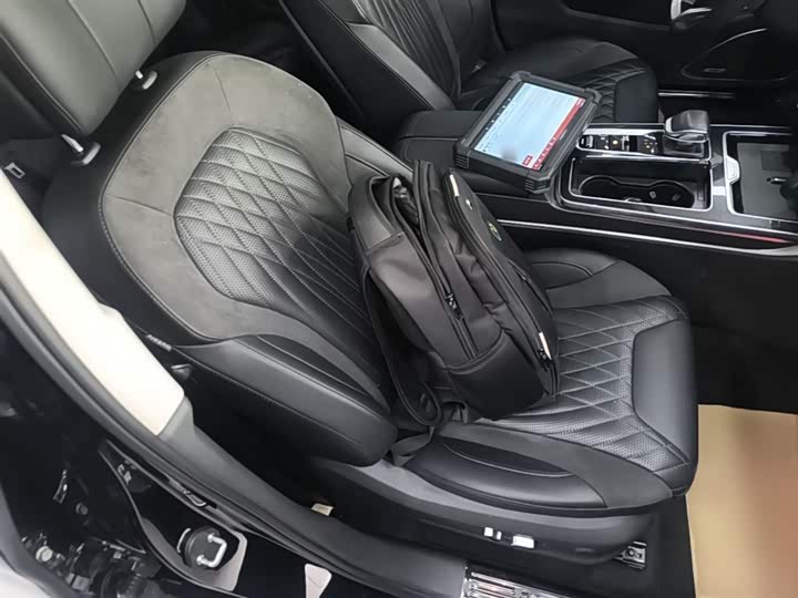 Hongqi HS5 2023 2.0 T 4 WD Pro — фото 25