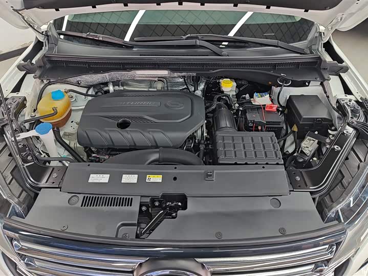 Trumpchi GS4 2022 270 T AT — фото 10