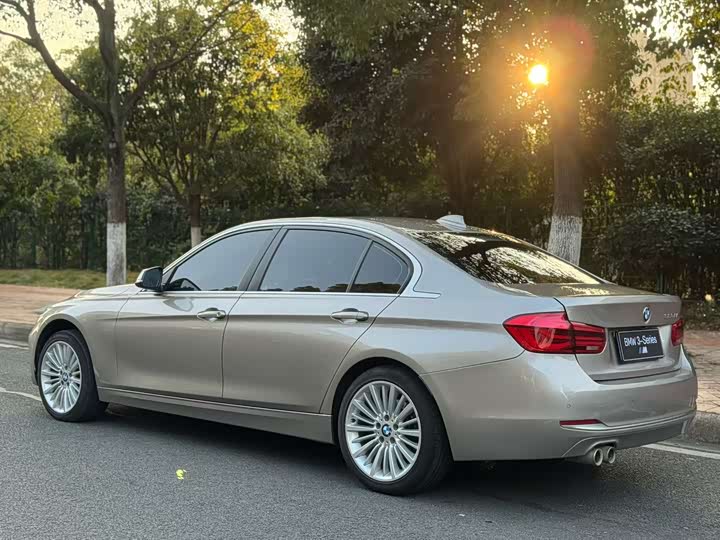 BMW 3-Series 2018 320 Li — фото 9