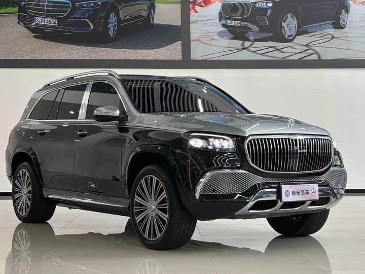 Maybach GLS 2022 GLS 480 4 MATIC — фото 3
