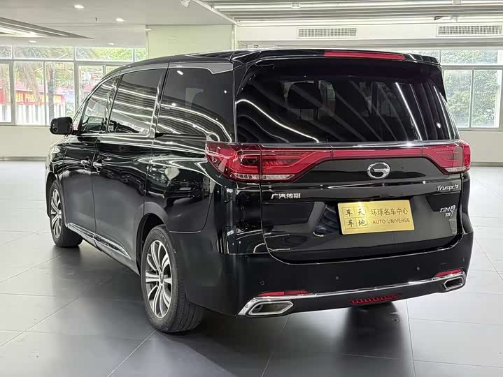 Trumpchi M8 2018 320 T — фото 6