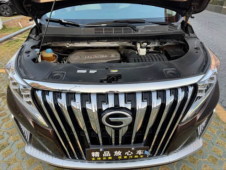 Trumpchi M8 2018 320 T — фото 20
