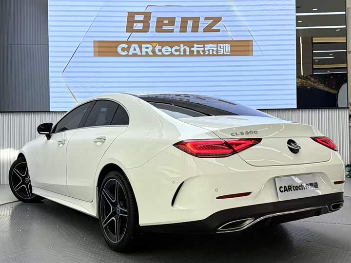 Mercedes-Benz CLS 2023 CLS 300 Luxury — фото 5