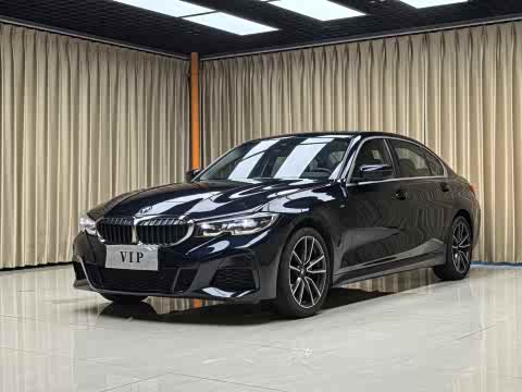 BMW 3-Series 2020 325 Li — фото 29