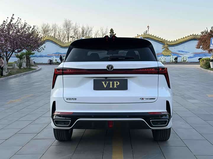 Changan CS75 PLUS 2023 1.5 T ATPremium — фото 6