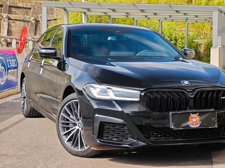 BMW 5-Series 2023 530 Li Leading M — фото 8