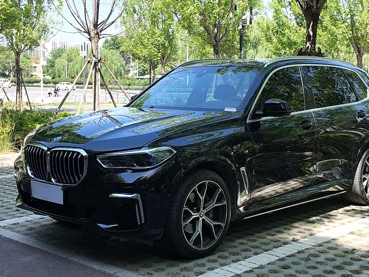BMW X5 2022 x Drive 40 Li M — фото 1