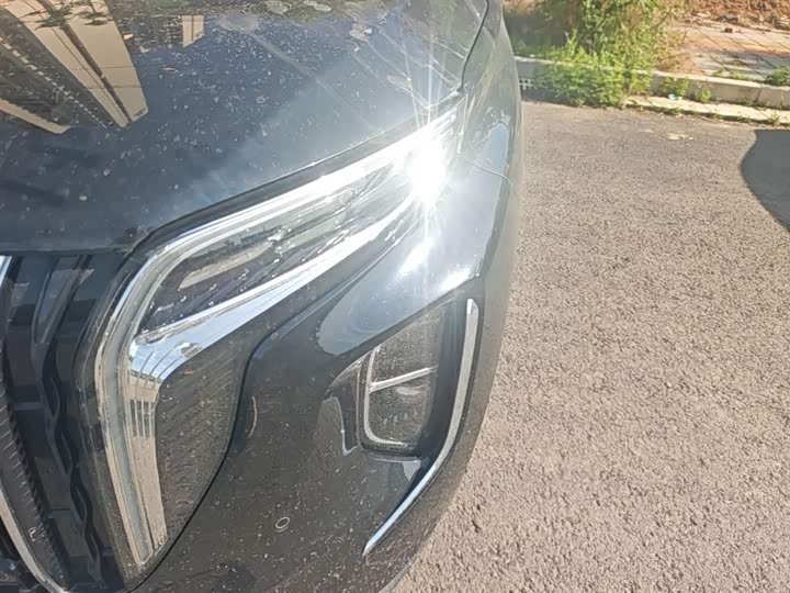 Hongqi HS7 PHEV 2024 2.0 T PHEV 4 WD 7 — фото 24