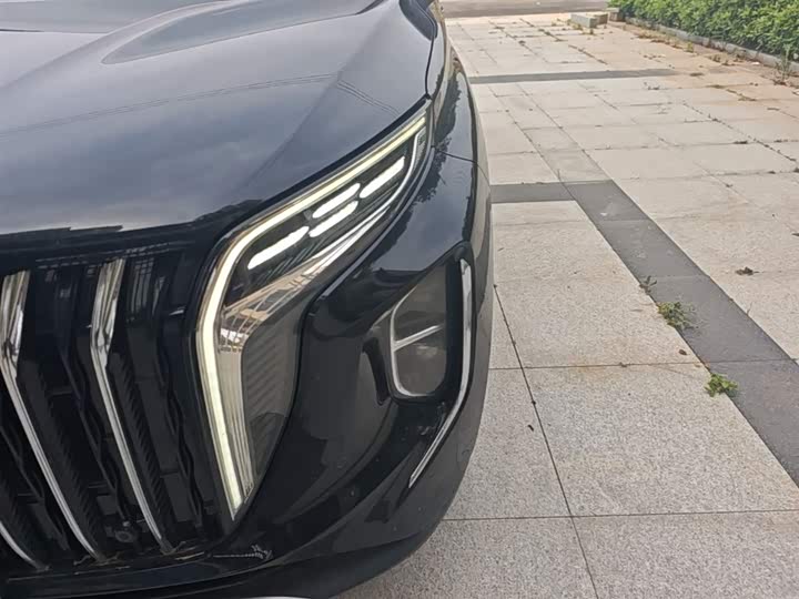 Hongqi HS7 PHEV 2024 2.0 T PHEV 4 WD 7 — фото 24