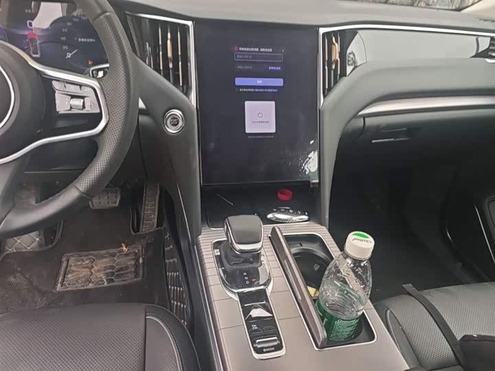 Hongqi HS7 PHEV 2024 2.0 T PHEV 4 WD 7 — фото 13
