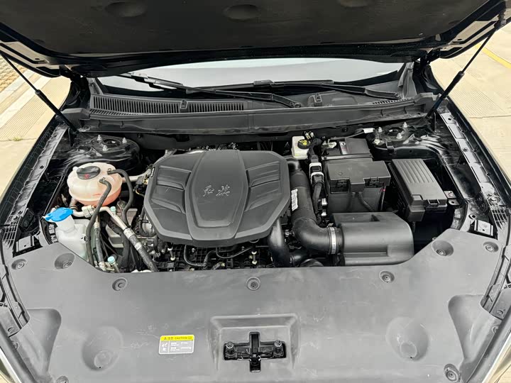 Hongqi HS5 2023 2.0 T 4 WD Pro — фото 12