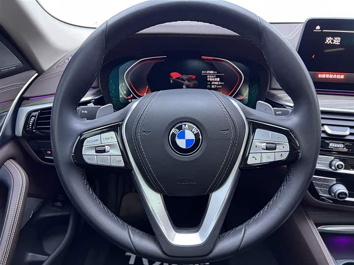 BMW 5-Series 2022 530 Li Leading — фото 15