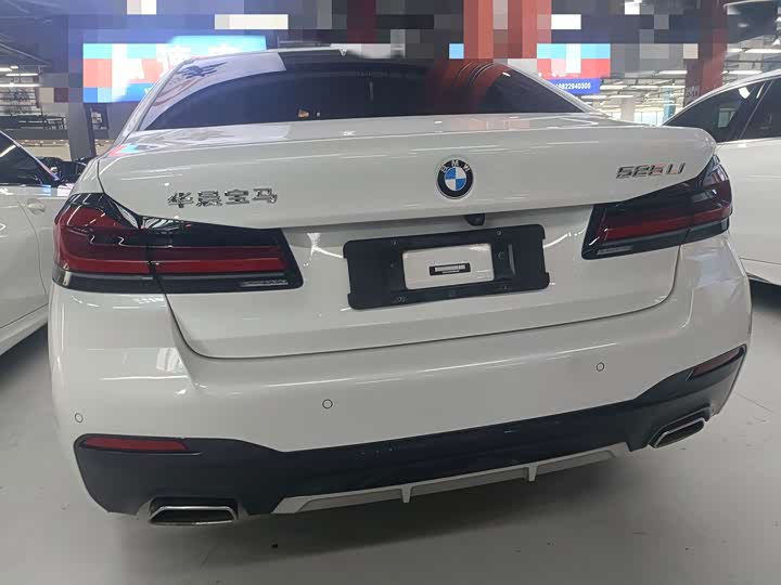 BMW 5 Series 525Li M спортпакет — фото 11